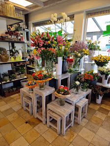 Blumenhaus und Friedhofsgärtnerei Stoll