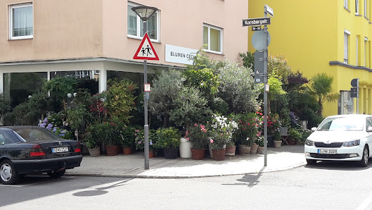 Blumen Cech