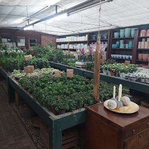 Bloemen Mecking Coesfeld