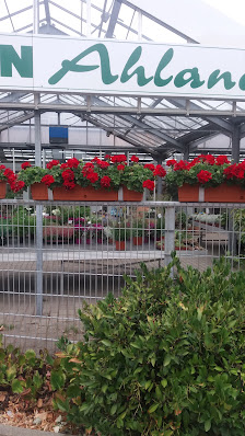 Blumen Ahland