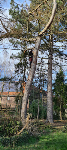 Baum & Garten Balke