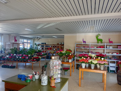 Blumen Zilian