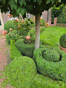 Pflückauf Gartenpflege David Herbon