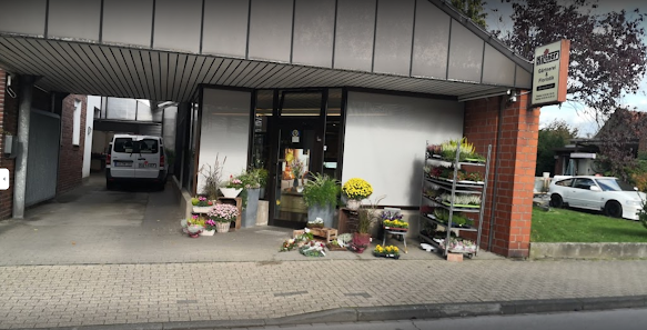 Kittner Blumen