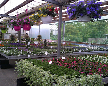 Kittner Blumen