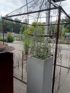 Blumen Fimpeler