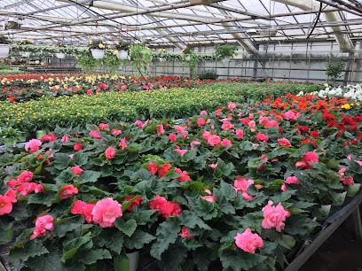 Blumen Fleer