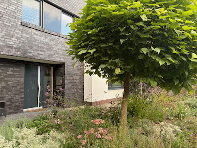 Susann Ballack Gartengestaltung und -pflege