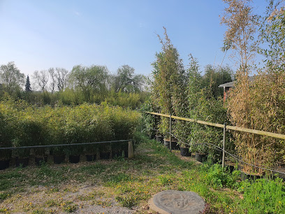 Reinhard Krewerth Gartenbaubetrieb-Bambus Zucht + Vertrieb