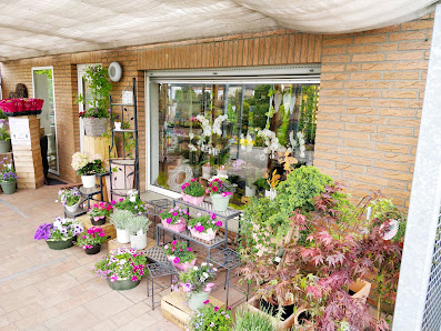 Blumenhaus de Groot