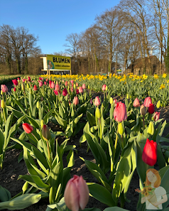 Blumen von Kathi