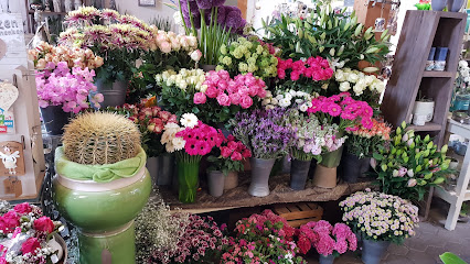 Das kleine Blumenparadies - Reckenfeld