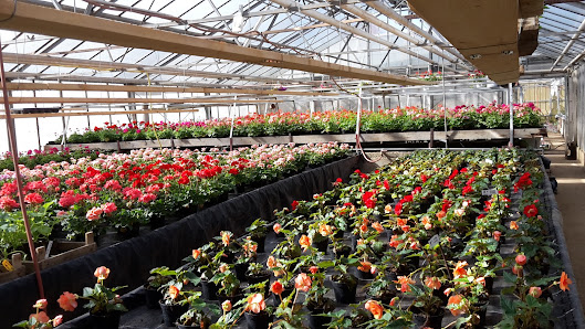 Gärtnerei und Blumenladen Wenzelburger