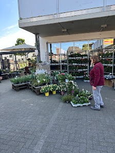 Bloemen Mecking Gronau-Epe