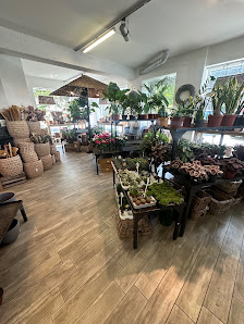 Bloemen Mecking Gronau-Epe