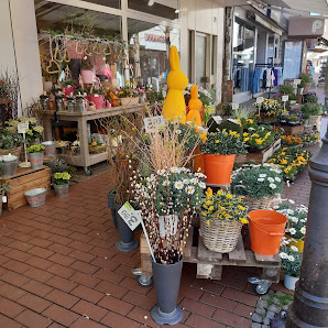 Blumen Risse Blumenladen Haltern am See