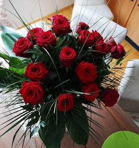 Holland Blumen