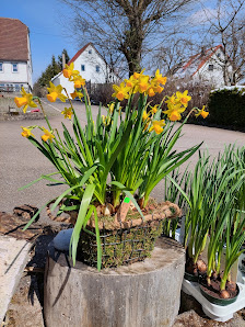 Blumen Haag