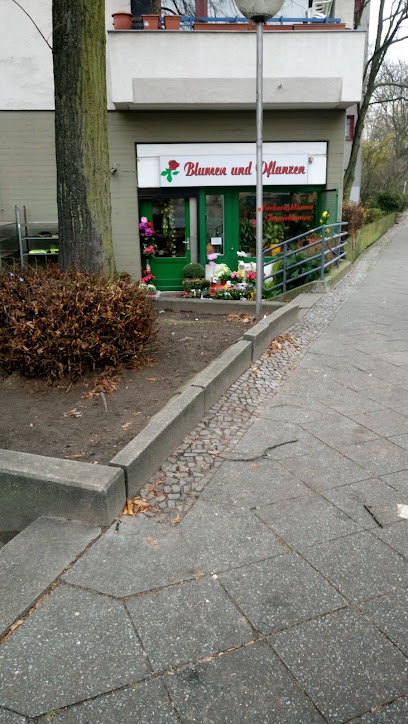 Blumen und Pflanzen