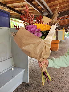 Blumen und Pflanzen