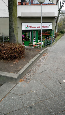 Blumen und Pflanzen