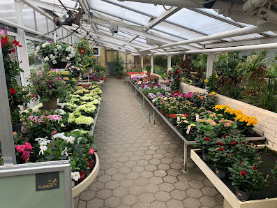 Blumen Schöttker