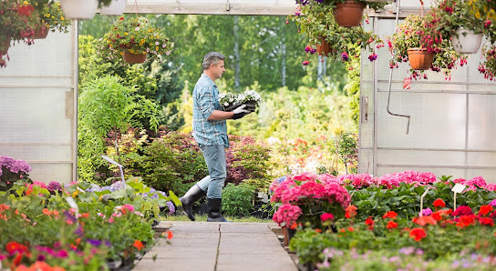 Bee wie Blumen