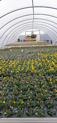 Gartenbau und Tofalls Blumenecke Inh.Sebastian Tofall