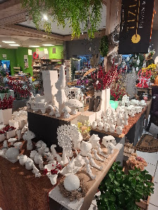 Gartencenter Hüllhorst