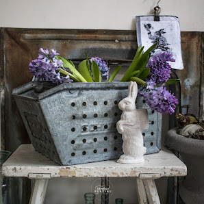 Blumenhof Benzing & Benzing Online Shop