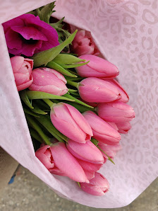Blumenhof Benzing & Benzing Online Shop