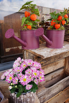BlumenKind Sellemerten