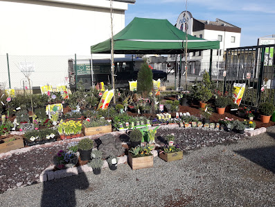 Frank und Jörg Prüßmeier Gartenbau