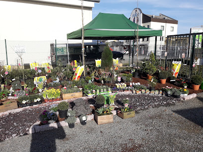 Frank und Jörg Prüßmeier Gartenbau