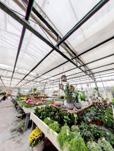 Blumenhaus Bödder