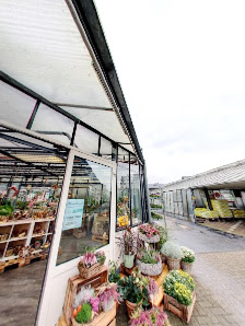 Blumenhaus Bödder