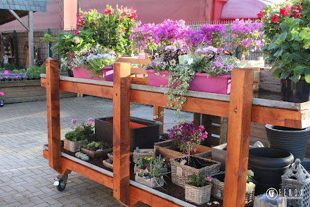 Die Blumenhalle Südfels Burlo