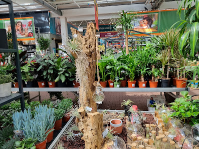 OBI Gartencenter Köln-Pesch