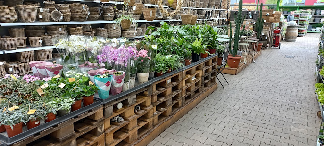 Raiffeisen-Markt Borken