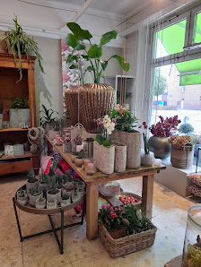 Blumenhaus Kampshoff- van de Sand