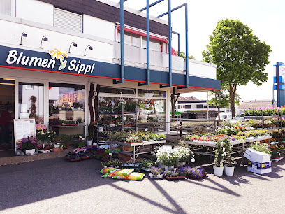 Blumen Sippl - Inh. Kerstin Sippl
