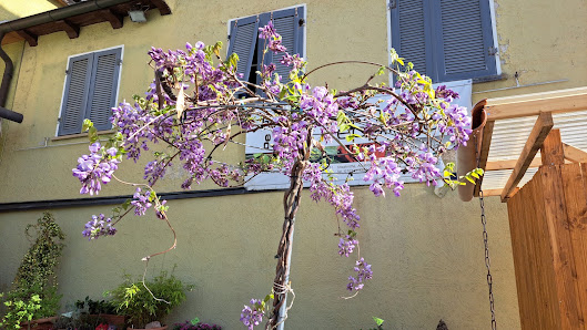 Blumen Eppinger