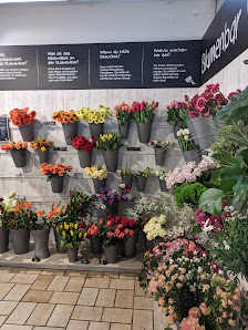 Blumen Höfle in Neuffen