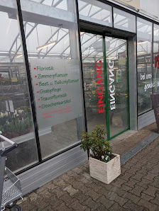 Blumen Höfle in Neuffen