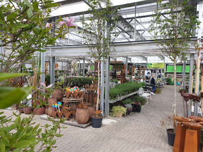 Gartencenter Braun GbR - Bondorf