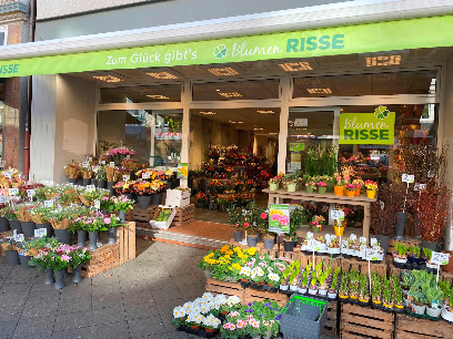 Blumen Risse Blumenladen Düsseldorf-Derendorf