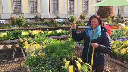 Gärtnerei Stifel