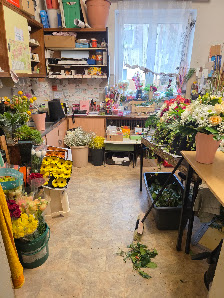 Blumenhaus Geiser