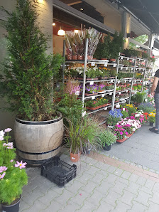 Das Blumenhaus