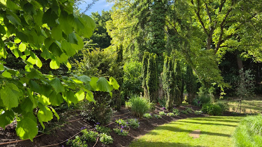 Flieg Galabau - Garten und Landschaftsbau